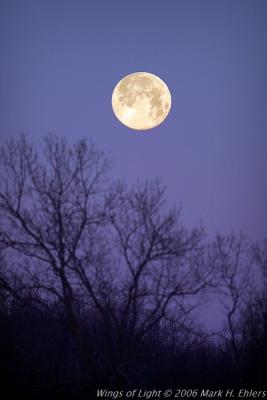 full moon  400mm 1.jpg