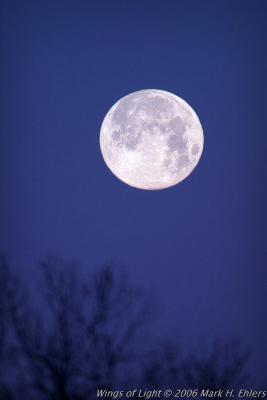 full moon  500mm 1.jpg
