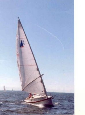 on the wind