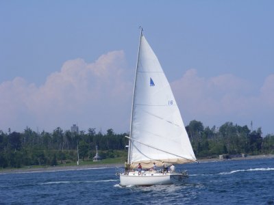 SHANANAGAN  36  - /16  1984