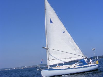 MAGICAL  36  47