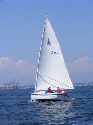 SINGLE MALT  26C  207