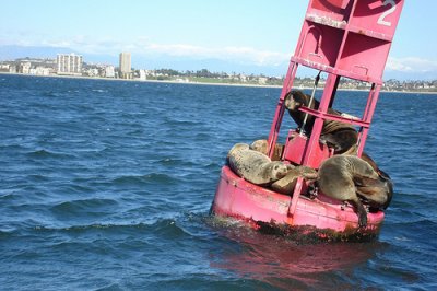 R2 off east end of Pier J
