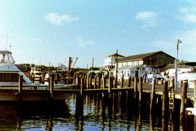 Payne's Dock
