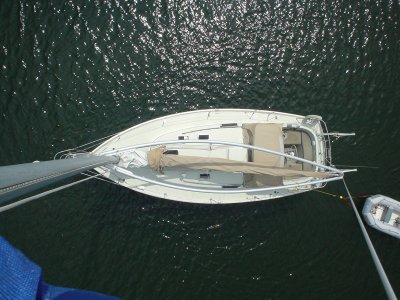 gull's eye view