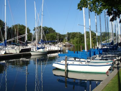Ideal 18s on south side of North Island