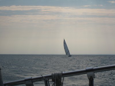 g3/48/747248/3/88615029.UiW97DnR.jpg