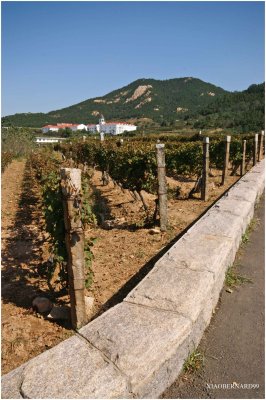 WINE COURTYARD ENTRY