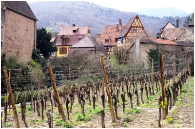 ALSACE COUNTRY of WINE, BEAUTY of  VILLAGE