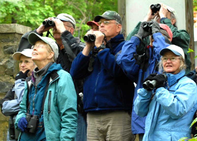 Joppa Flats Wood-Warbler Workshop, 2009.
