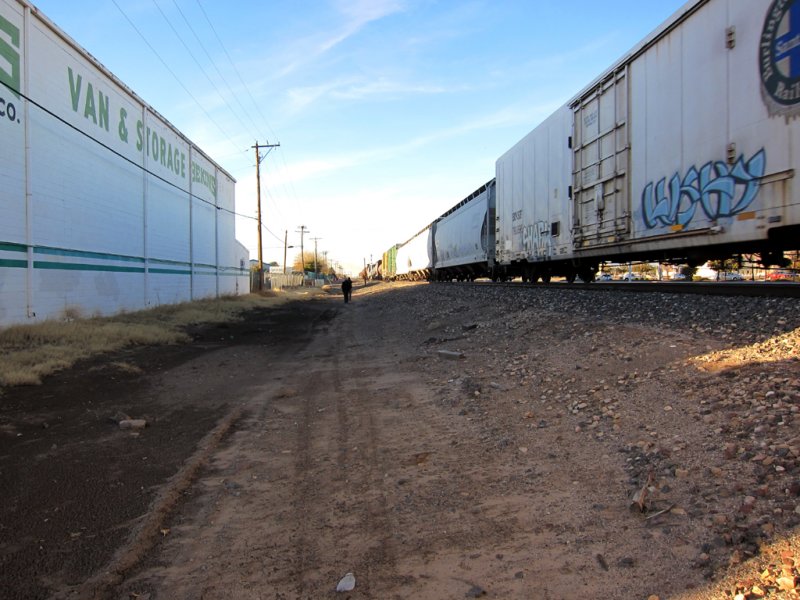 BurrowingOwlHabitat-PE2010610.jpg