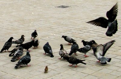Paris, France