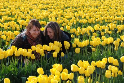 Tiptoe Through the Tulips