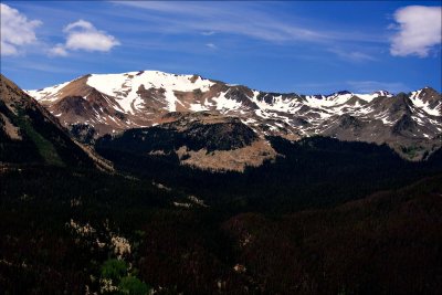 Trail Ridge in RMNP