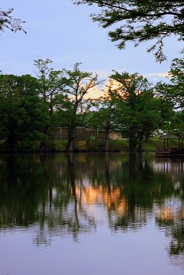 A Lockwood Park evening