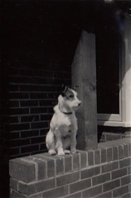 Mom's first dog Lassie