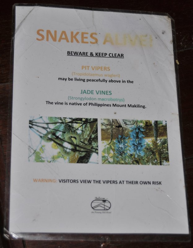 Beware of the snakes.