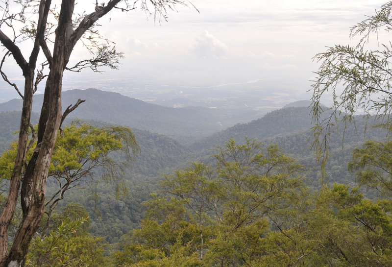 View from the top.