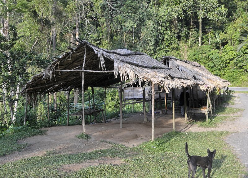Orang Asli house.