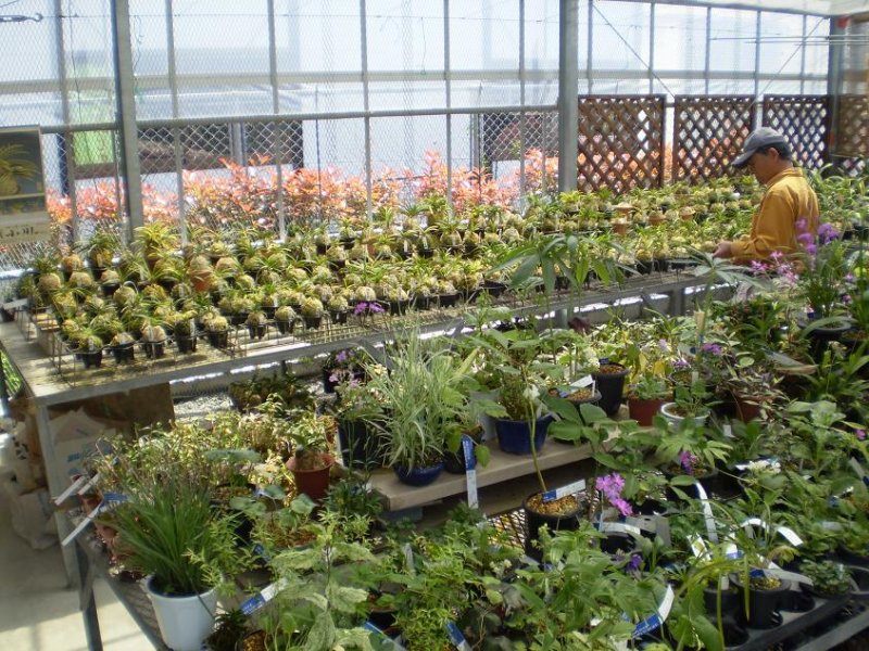 Small nursery.