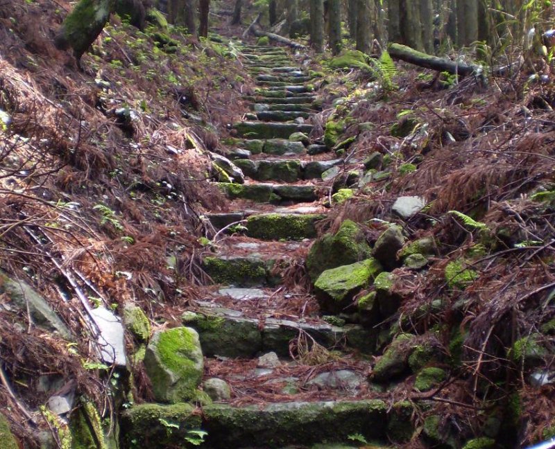 Going up and up.