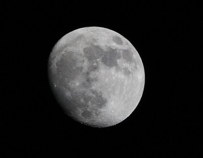moon over manu.jpg