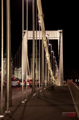 Erzsbet hd ( Elizabeth Bridge ) - Budapest, Hungary  - IMG_12302.jpg
