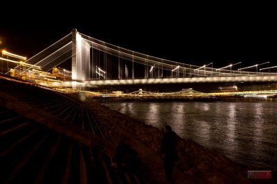 Erzsbet hd ( Elizabeth Bridge ) - Budapest, Hungary  - IMG_12344.jpg