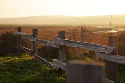 Point Reyes - California