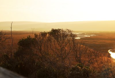 g3/48/927448/3/120615962.46yhVtId.jpg