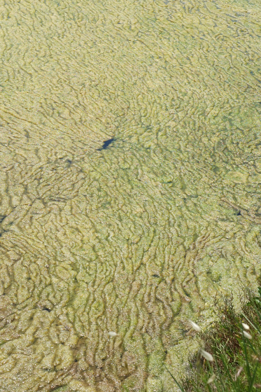 DSC_4357.jpg