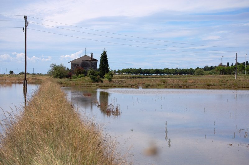 DSC_6909.jpg