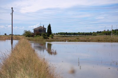 DSC_6909.jpg
