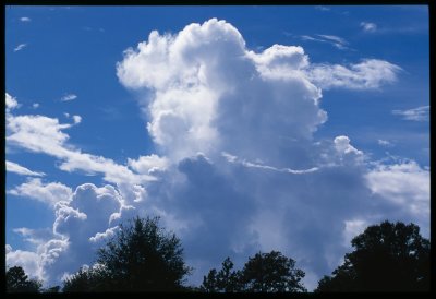 Gainesville Florida Sky