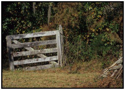 Old Florida Farm Gate