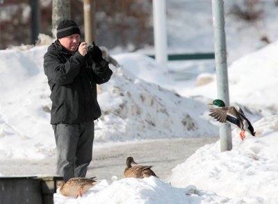 catching a duck