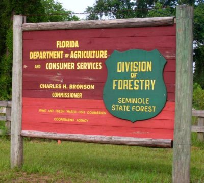 Seminole State Forest-FL