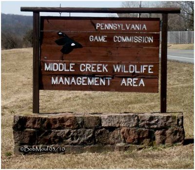 Middle Creek Wildlife Management-PA