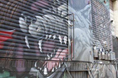 Mural Wolf Los Angeles Warehouse Dist.JPG