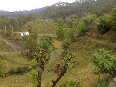 siah andwala