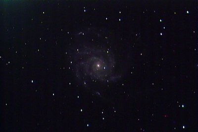 20100217-M101.jpg