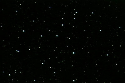 20100409-22-IC4665.jpg