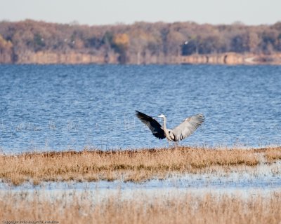 2009 11 27 PA0307a.jpg