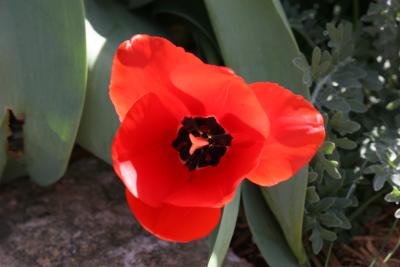 2006 03 10 PA0068r.JPG