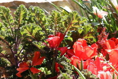 2006 03 10 PA0089r.JPG
