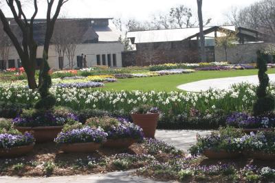 2006 03 10 PA0165r.JPG