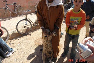 morocco_april_2009