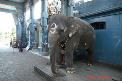 pondicherry96 ganesh temple.JPG