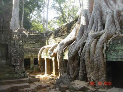cambodia angkor temples014.JPG