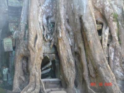 cambodia angkor temples021.JPG